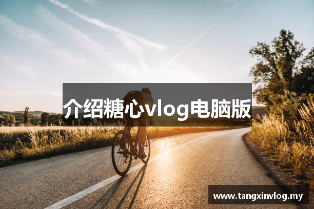 介绍糖心vlog电脑版